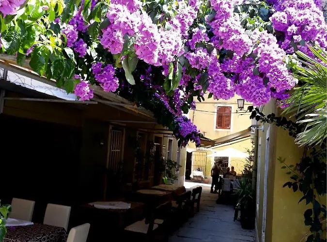 Lejlighed Apartment Ferienwohnung