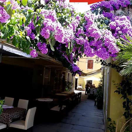 Apartman Apartment Ferienwohnung